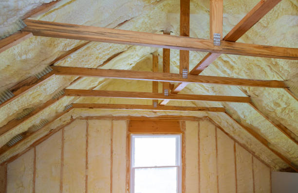 Best Geographic-Specific Insulation Services in Sunrise Beach Village, TX
