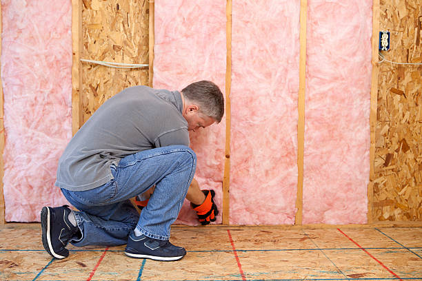Best Cellulose Insulation in Sunrise Beach Village, TX