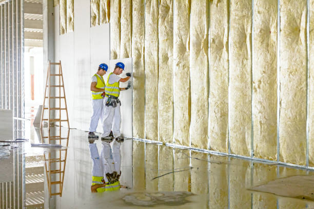 Best Insulation for Specific Applications in Sunrise Beach Village, TX